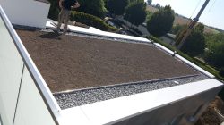Hier fehlt nur noch die Bepflanzung extensiv mit ausgewählten Pflanzen. Randstreifen mit Marmorkies.
